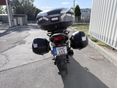 HONDA CBF 600 2005/7 - 5