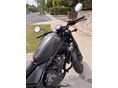 HONDA CMX 500 REBEL 2021/4 - 3