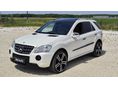MERCEDES-BENZ ML 420 2009/8 - 9