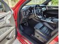 ALFA ROMEO STELVIO 2022/8 - 5