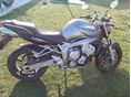 YAMAHA FZ6-N 2005/9 - 2