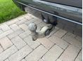 BMW X5 2021/1 - 14