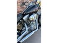 HARLEY-DAVIDSON SOFTAIL Standard