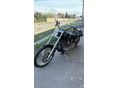 HARLEY-DAVIDSON SOFTAIL 2002/5 - 3