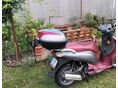 HONDA PS 150 I 2007/6 - 4