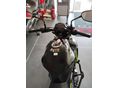 KAWASAKI Z 650 2019/7 - 19