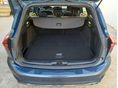 FORD FOCUS 2023/6 - 8