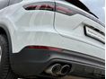 PORSCHE CAYENNE 2019/4 - 9