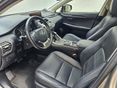 LEXUS NX 2018/6 - 14