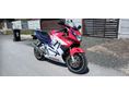 HONDA CBR 600 F3 
