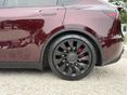 TESLA MODEL Y 2023/6 - 19