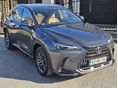 LEXUS NX 2025/4 - 6