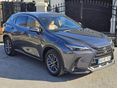 LEXUS NX 2025/4 - 7