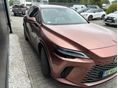 LEXUS RX 2024/3 - 2