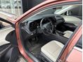 LEXUS RX 2024/3 - 5