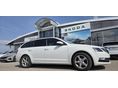 SKODA OCTAVIA 2019/2 - 2