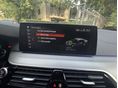 BMW 530 2017/9 - 10