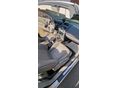 RENAULT MEGANE 2005/6 - 10