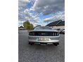 FORD MUSTANG 2015/6 - 9