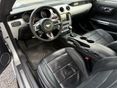 FORD MUSTANG 2015/6 - 10