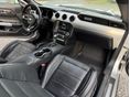 FORD MUSTANG 2015/6 - 11