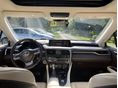 LEXUS RX 2019/2 - 3