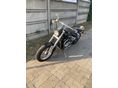SUZUKI VZ 800 (MARAUDER) 1997 - 8