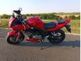 SUZUKI SV 650 S 2006 - 3