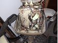 EVINRUDE 1971/5 - 2