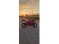 HONDA CBR 600 RR 