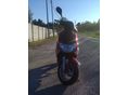 KYMCO VITALITY 2010/6 - 9