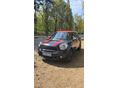 MINI COUNTRYMAN 2014/6 - 7