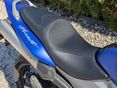 HONDA CB 600 F (HORNET) 2004/8 - 6