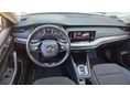 SKODA OCTAVIA 2021/5 - 5