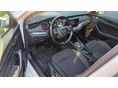 SKODA OCTAVIA 2021/5 - 5