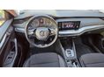 SKODA OCTAVIA 2021/5 - 6