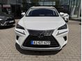 LEXUS NX 2020/6 - 3