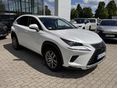 LEXUS NX 2020/6 - 2