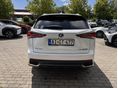 LEXUS NX 2020/6 - 6