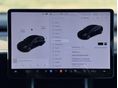 TESLA MODEL 3 2019/6 - 10