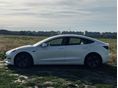 TESLA MODEL 3 2019/6 - 5