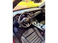 ALFA ROMEO STELVIO 2023/7 - 5