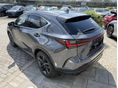 LEXUS NX 2022/2 - 6