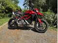 DUCATI HYPERMOTARD 950 2019/7 - 2