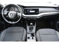 SKODA OCTAVIA 2022/2 - 7