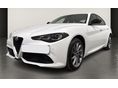 ALFA ROMEO GIULIA 2.0 TI Q4 (Automata) PDC/KAMERA/Matrix LED/NAVI/ÁFA-s