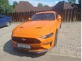 FORD MUSTANG Fastback GT 5.0 Ti-VCT (Automata)