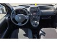 FIAT PANDA 2009/9 - 5