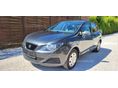 SEAT IBIZA 2010/9 - 1