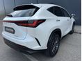 LEXUS NX 2022/9 - 10